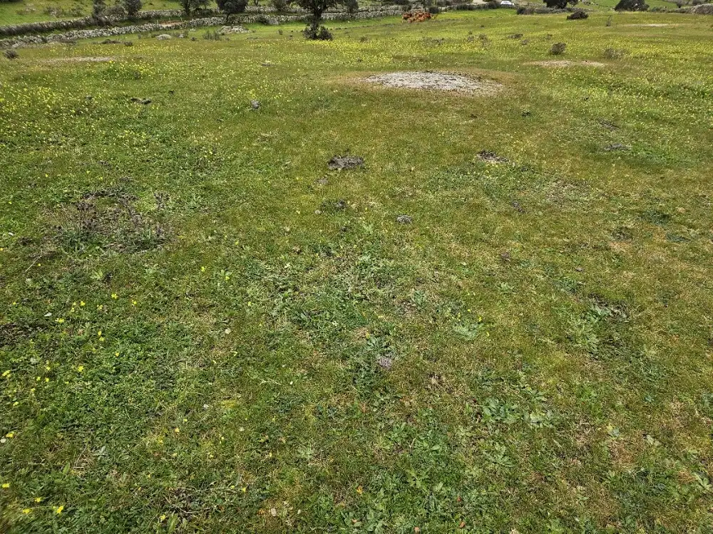 Terreni e lotti in vendita a Navas del Madroño, imagen 3