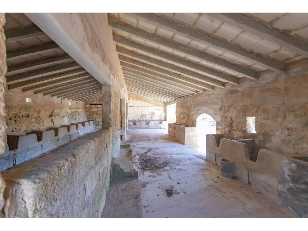 Maison rustique avec jardin à vendre à Ferreries poble, imagen 38