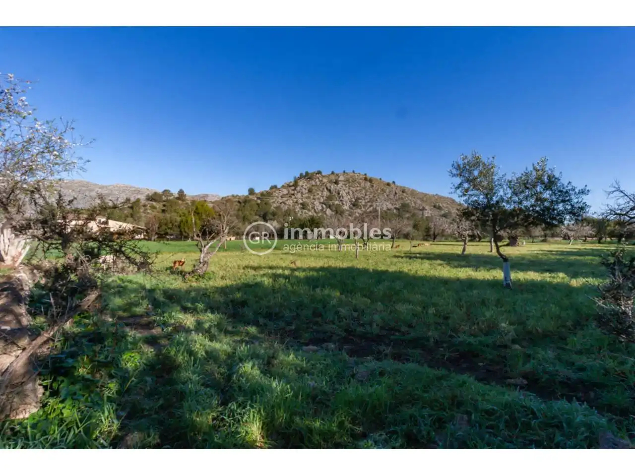 Houses for sale in Pollença Poble