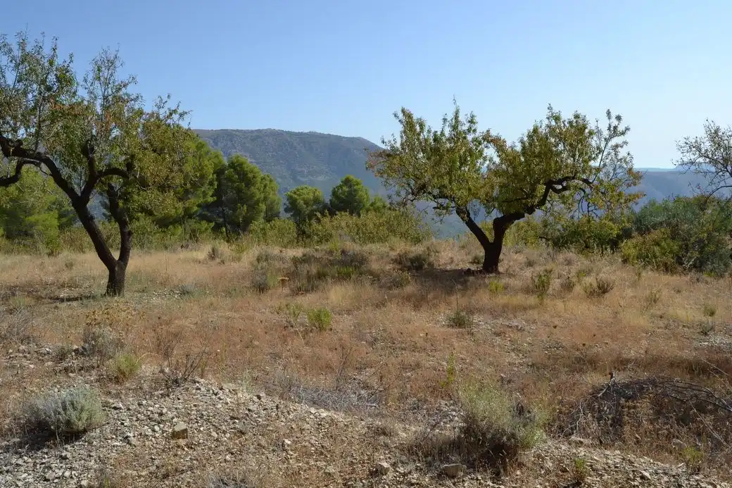 Grundstücke und Bauplätze zum Verkauf in El Castell de Guadalest, imagen 10