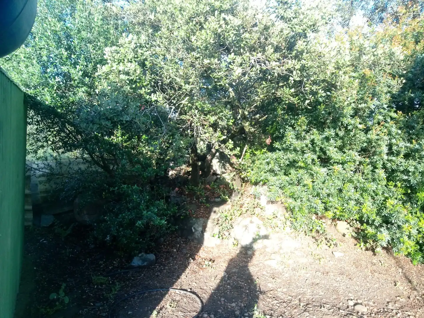 Terreni e lotti in vendita a Castilblanco de los Arroyos, imagen 24