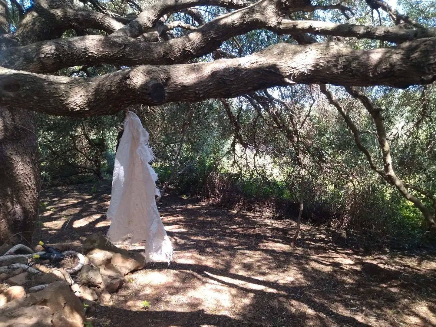 Casa rústica amb jardí en venda a N/A, imagen 15