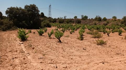 Foto 3 von Residential zum Verkauf in Pasaje Hoya Huesos, Venta del Moro, Valencia