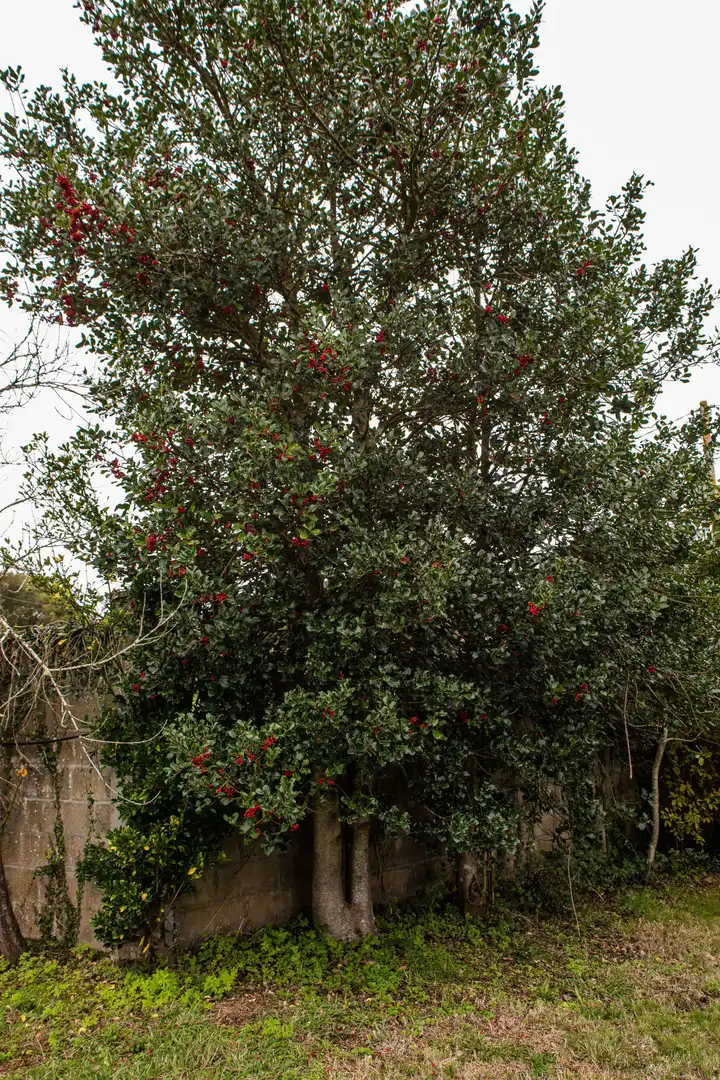 Casa en venda a Sada (A Coruña), imagen 22