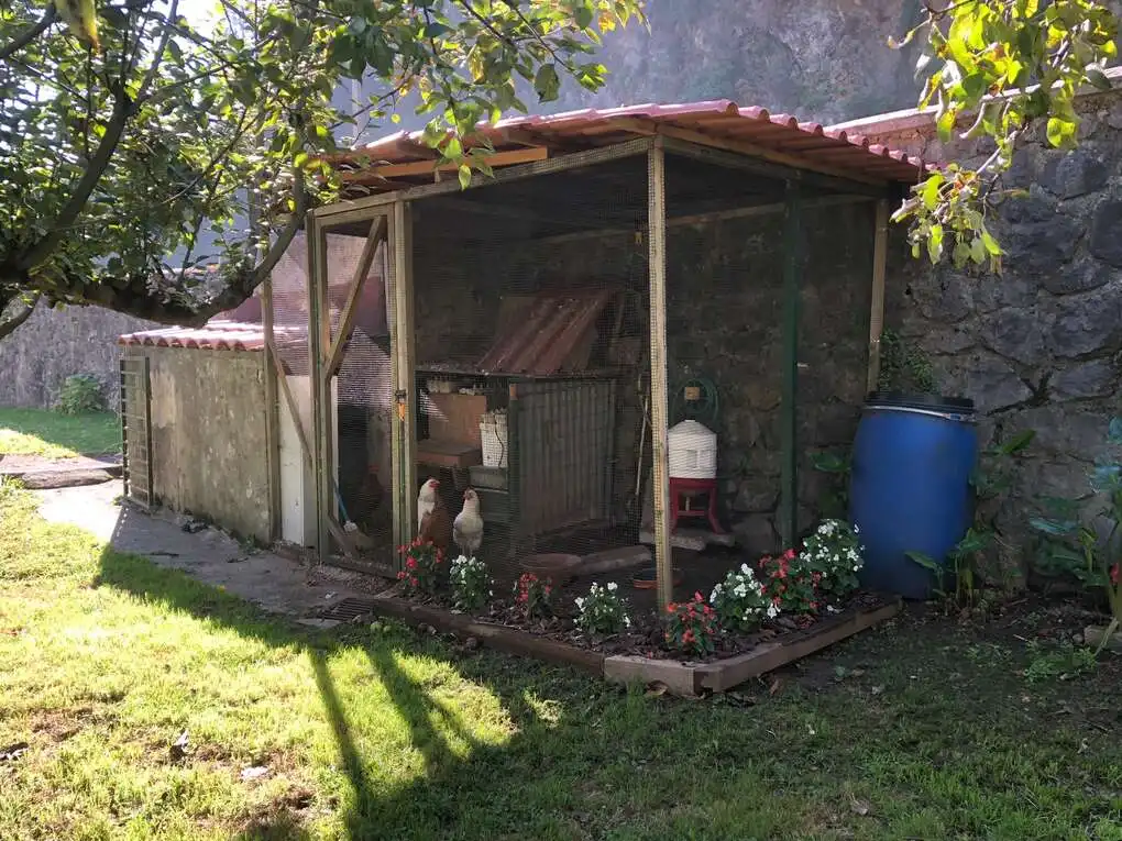 Jardí de Casa adosada en venda en Ibarra, Gipuzkoa