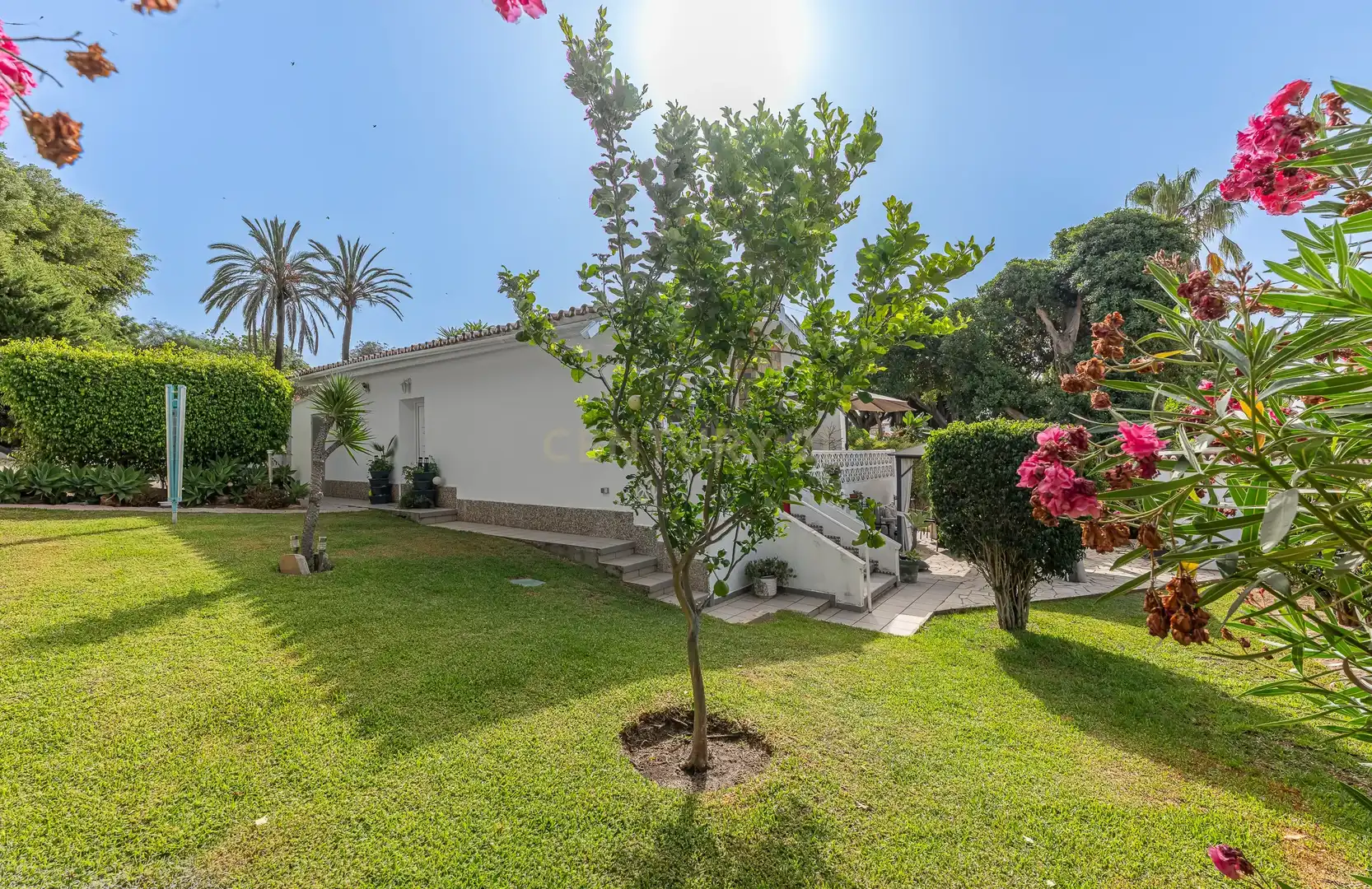 Garden of Houses for sale in Marbella  with Private garden