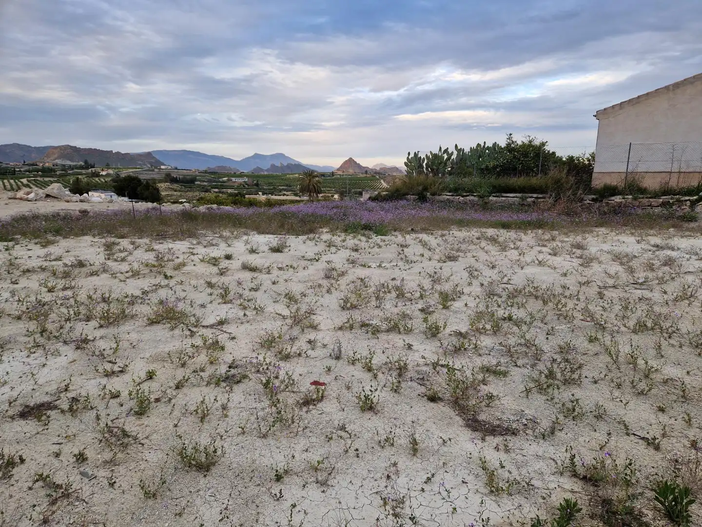 Land for sale in Villanueva del Río Segura