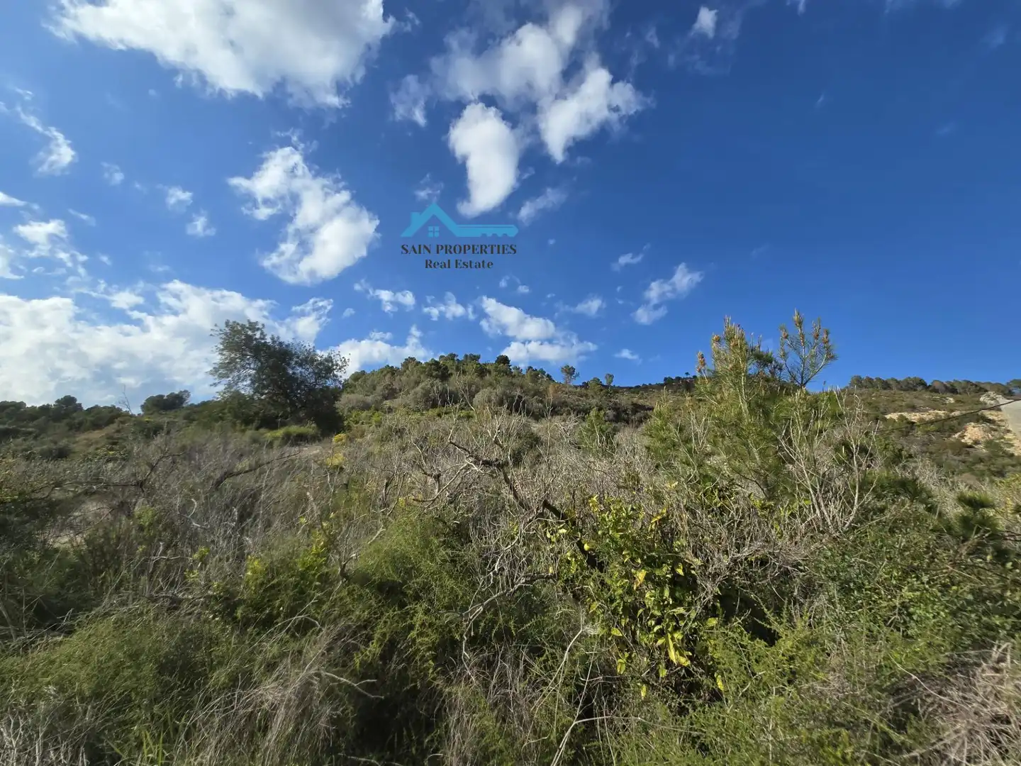 Terreny rústic en venda a Callosa d'en Sarrià, imagen 24