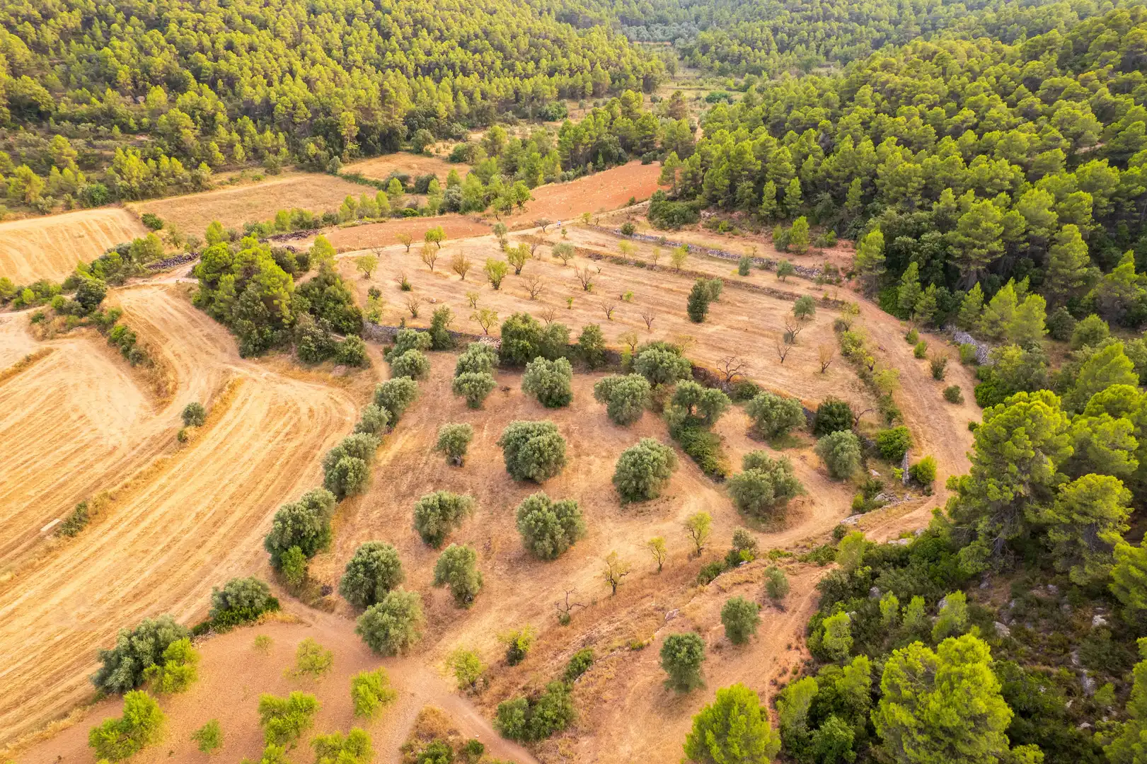 Rural land for sale in Lledó, imagen 29