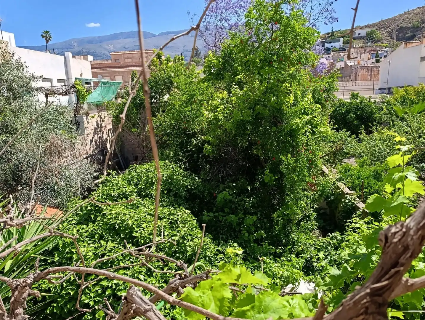 Casa con terraza en venta en Berja, imagen 21
