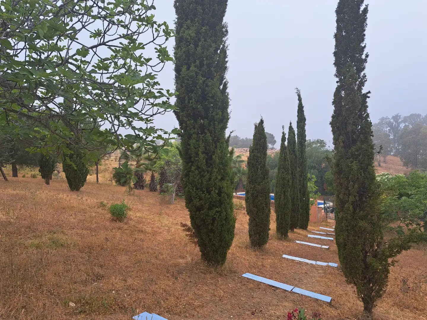Casa amb terrassa en venda a Valtocado - La Alquería - La Atalaya, imagen 6