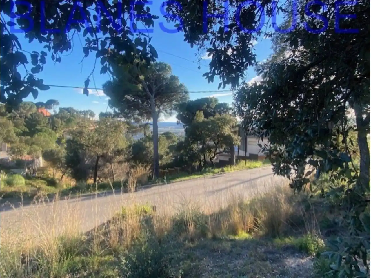 Terreno rustico in vendita a Calle Sensitiva, imagen 2