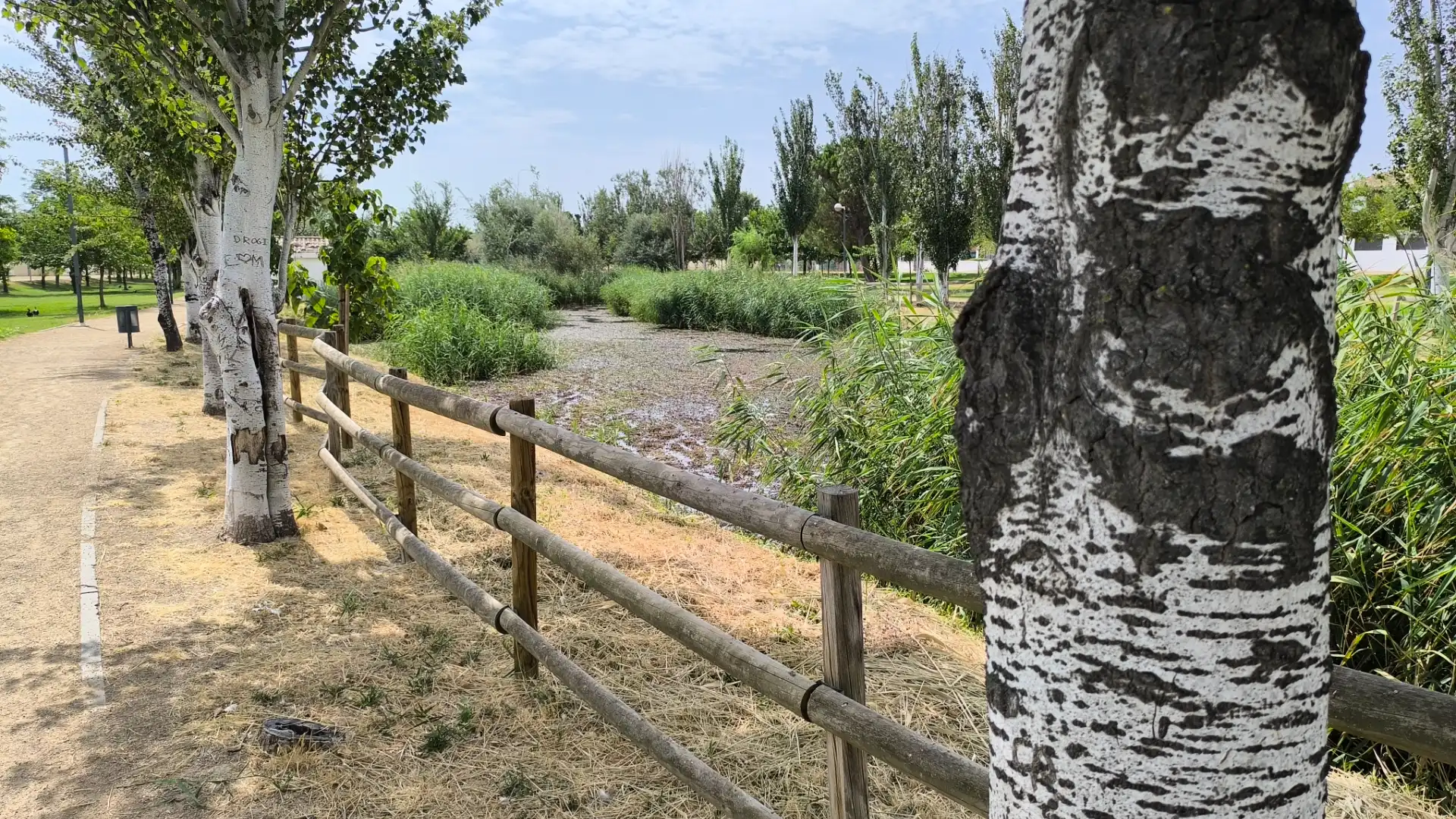 Casa adosada en venda en Pinseque amb Aire condicionat, Calefacció i Jardí privat