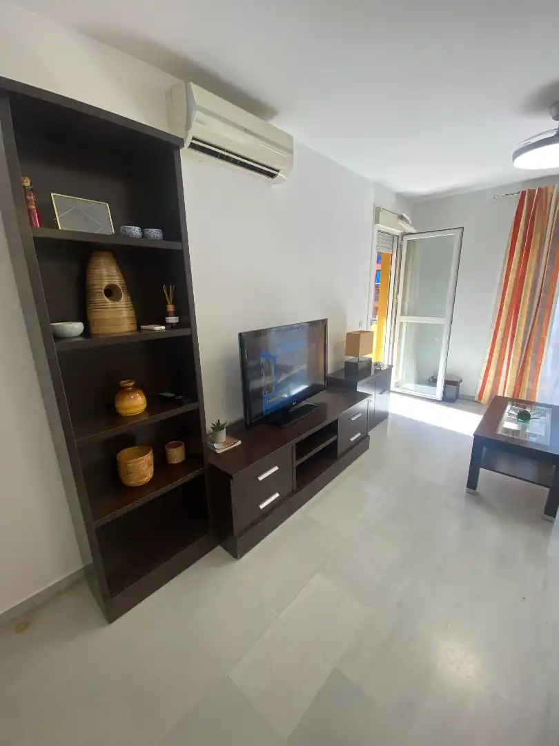 Living room of Apartments for rent in Málaga  with Air Conditioner, Terrace and Furnished
