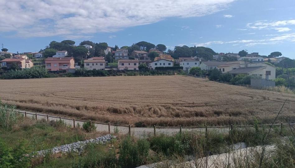 Photo 1 of Industrial buildings for sale in Bosc de la Batllòria, Riells i Viabrea, Girona