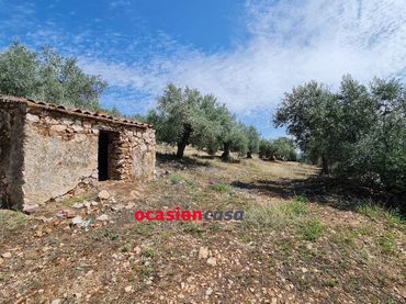 Terreni e lotti in vendita a Peñarroya-Pueblonuevo
