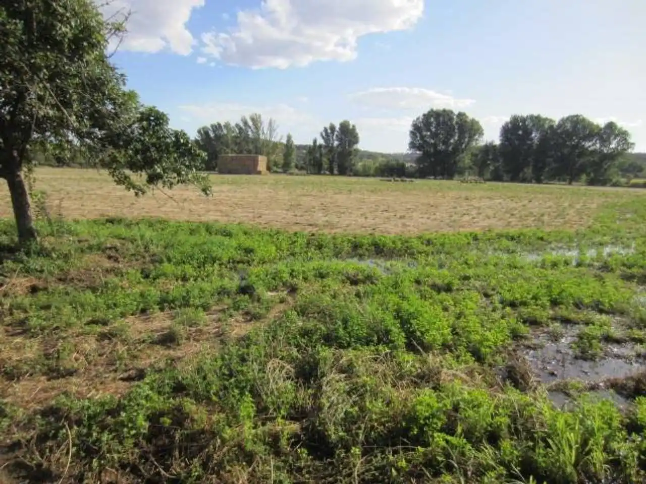 Terreno residencial en venta en Poligono 20, imagen 4