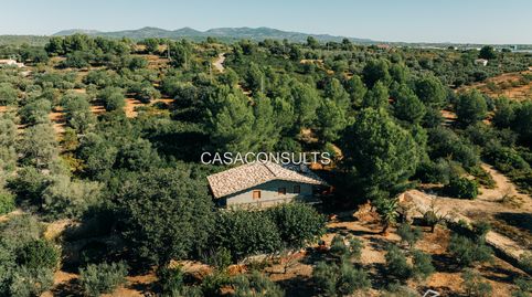 Foto 5 de Finca rústica en venda a Vall d'Alba, Castellón