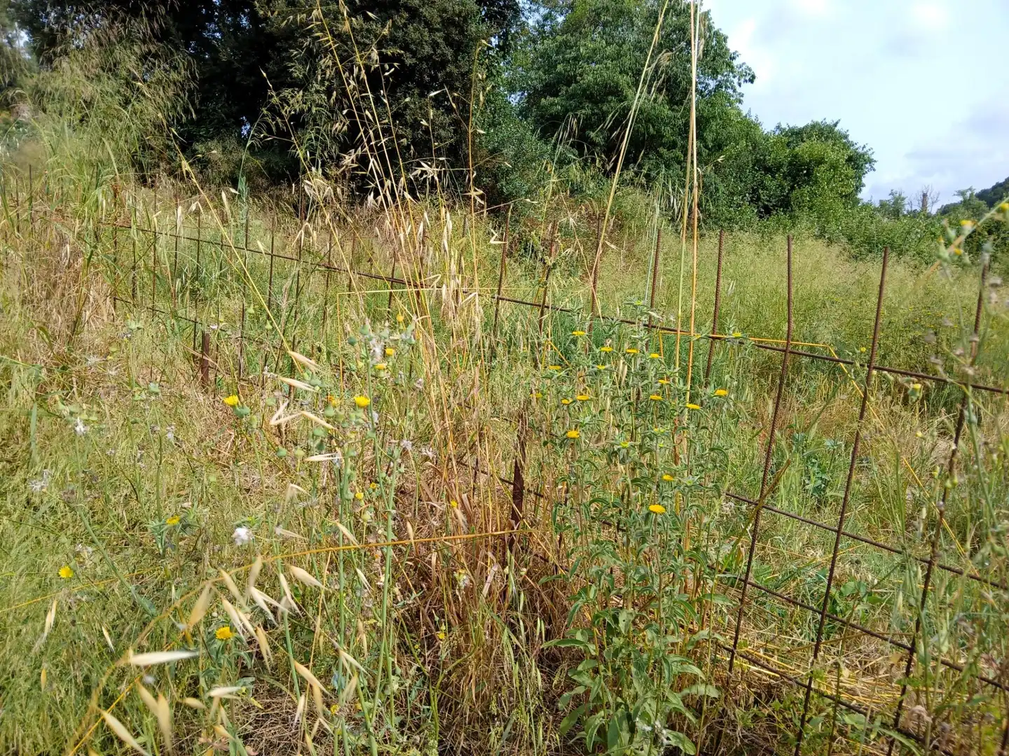 Terreno en venta en Castellar del Vallès