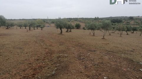 BadajozTerreno, imatge 2