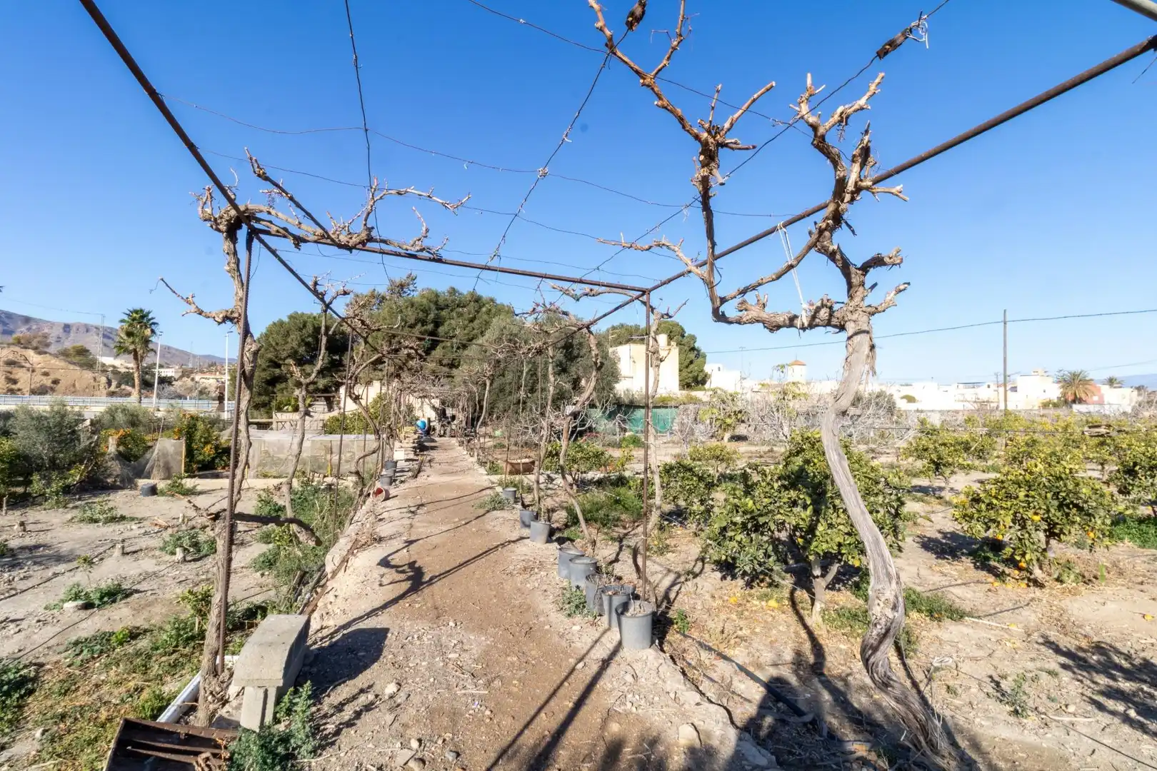 Finca rústica en venda en Benahadux amb Aire condicionat, Jardí privat i Terrassa