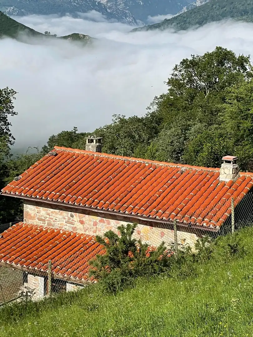 Exterior view of Land for sale in Cangas de Onís
