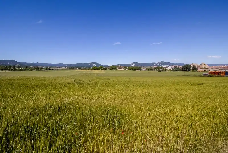 Rustikales Grundstück zum Verkauf in Sc Serra de Senferm, imagen 19