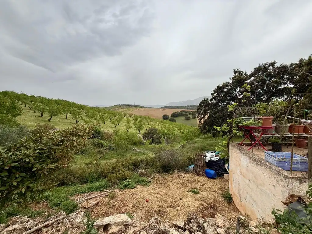 Casa o chalet en venta en Alhama de Granada