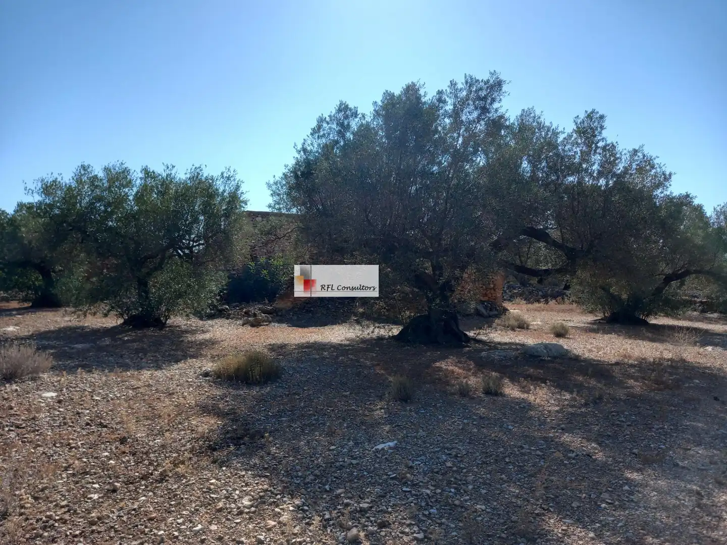 Terreno rústico en venta en L'Ampolla, imagen 19