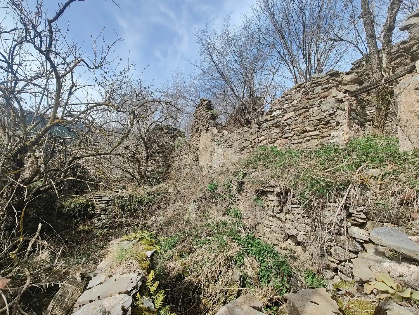 Vista exterior de Finca rústica en venta en Molló con Jardín privado y Balcón