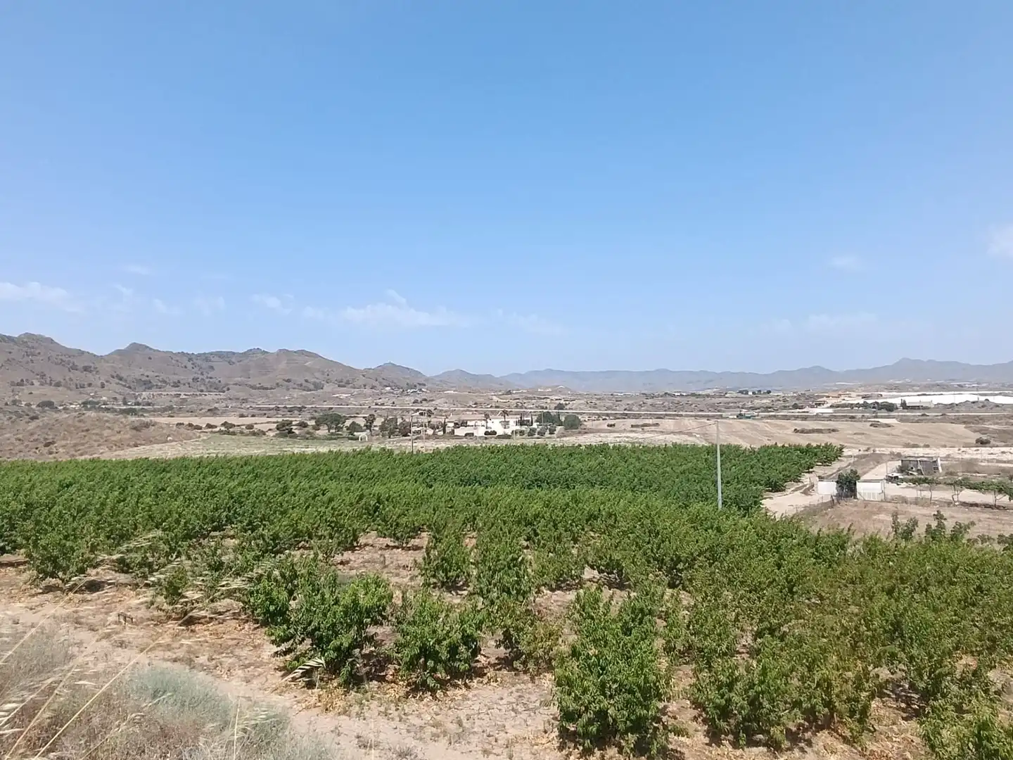 Land for sale in Mazarrón