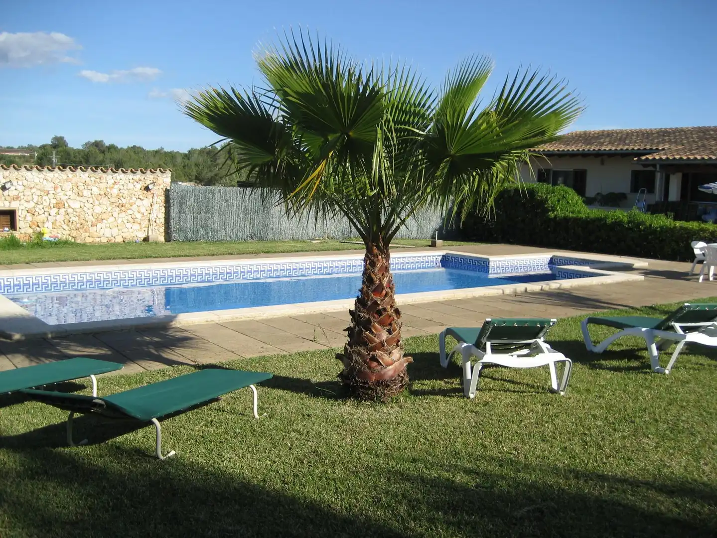 Villa mit Pool zur Miete in de MUro 5