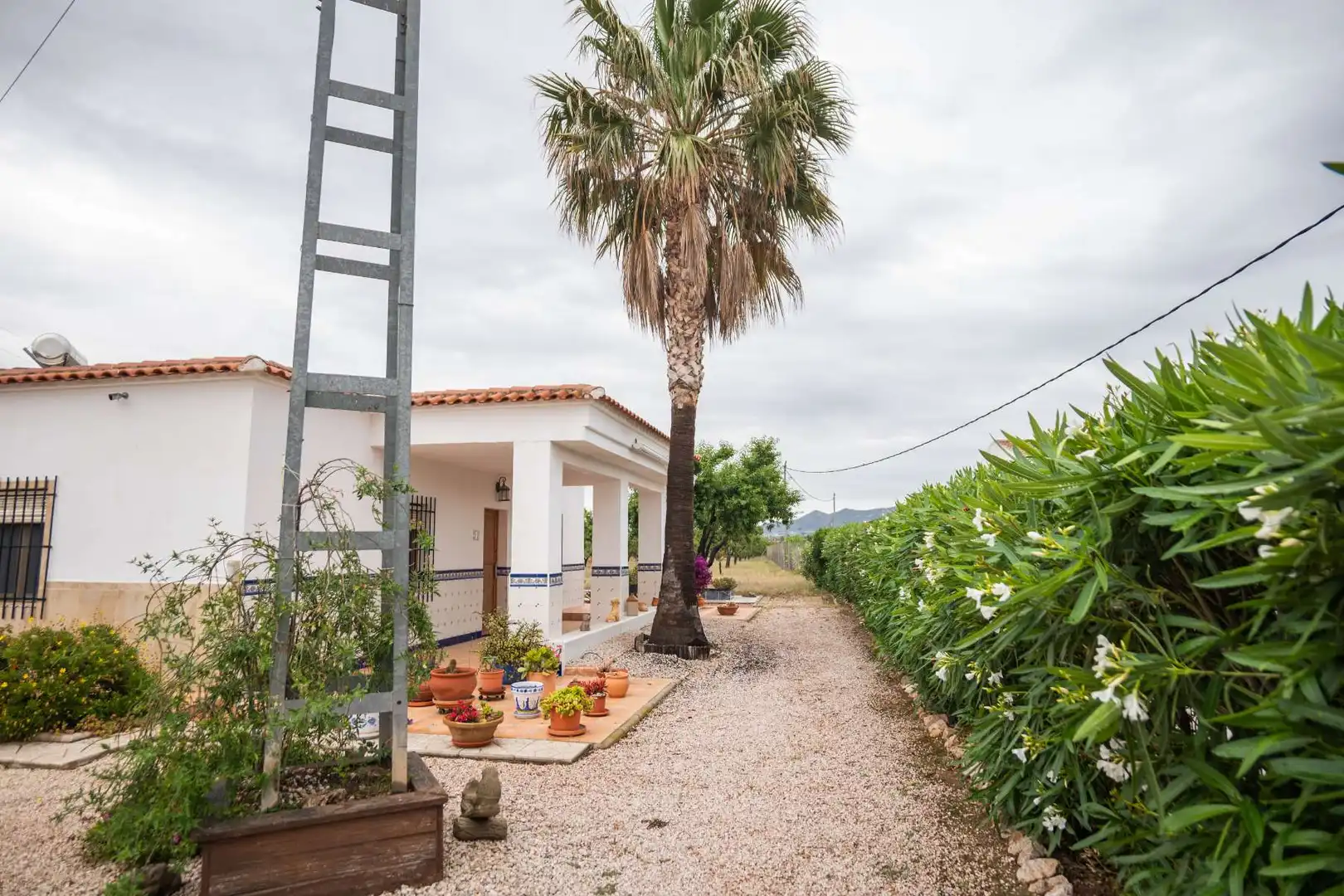 Vista exterior de Casa o chalet en venta en Orihuela con Jardín privado, Terraza y Trastero