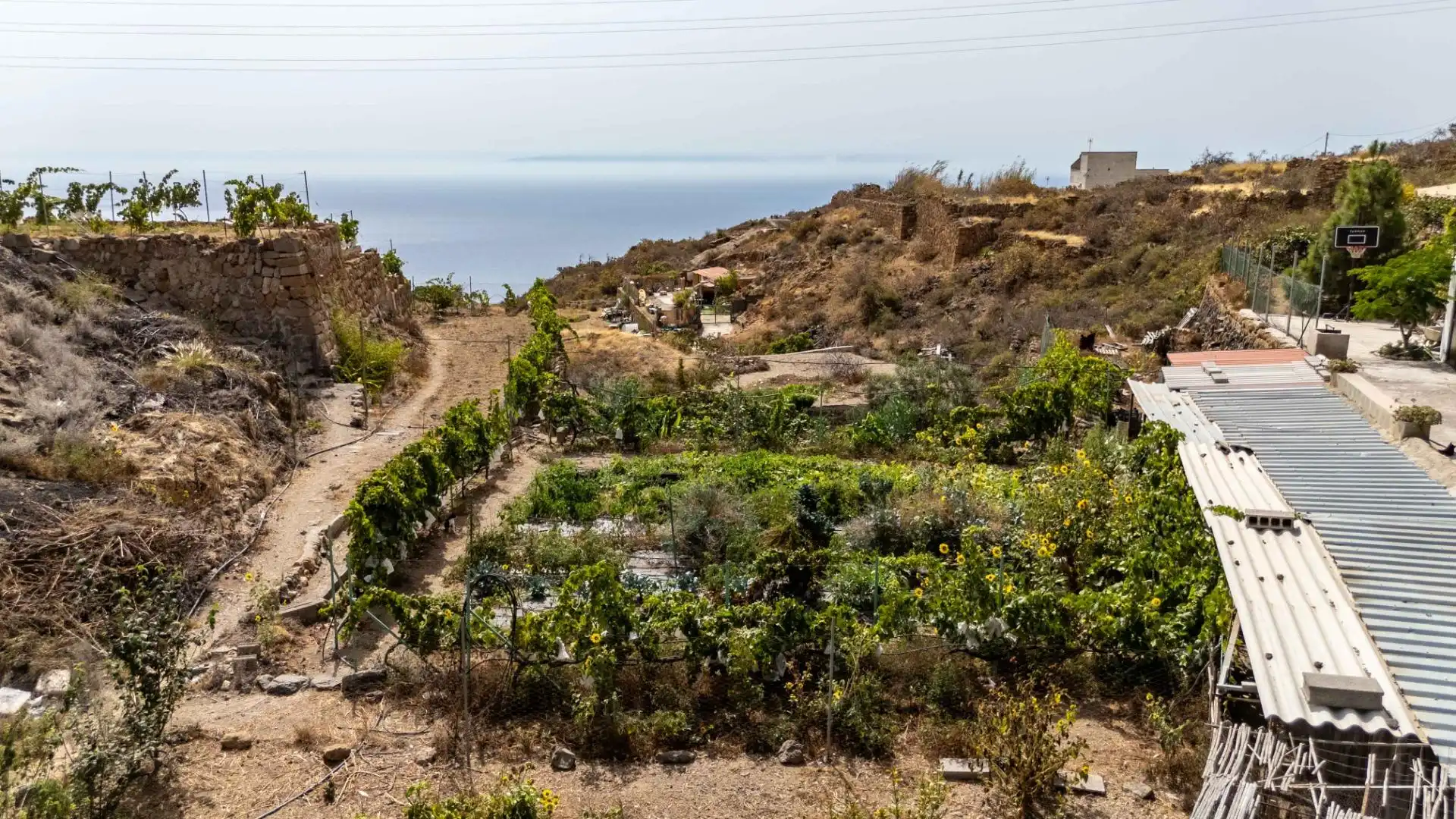 Finca rústica en venda en Güímar