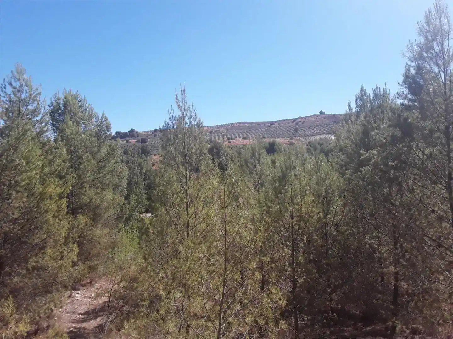 Planta baixa en venda en Cacín amb Aire condicionat i Moblat