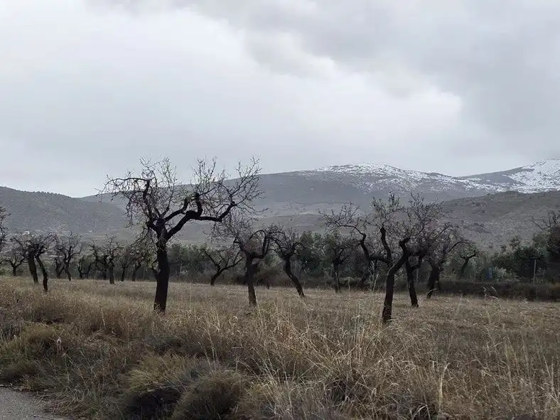 Grundstücke zum Verkauf in Abrucena