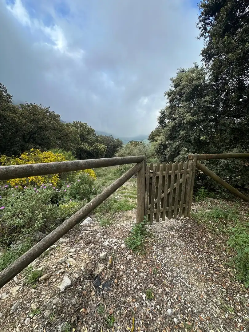 Terreni e lotti in vendita a Alfarnate, imagen 56