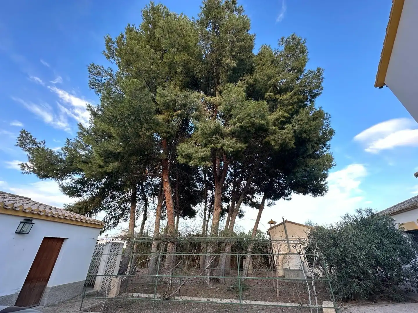 Xalet amb jardí en venda a Pedanías Centro, imagen 15