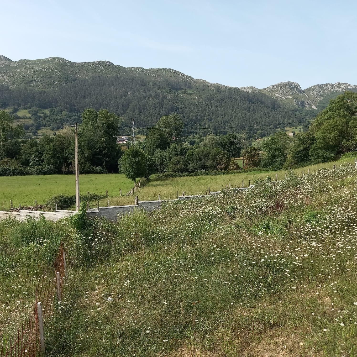 Residential zum verkauf in San Felices de Buelna