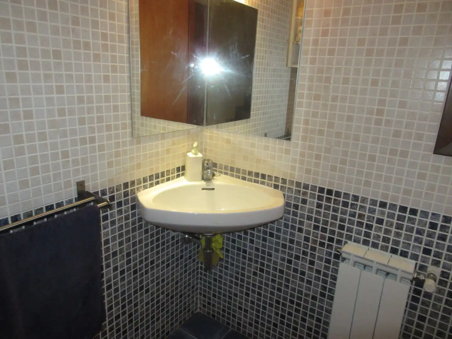 Bathroom of Houses for sale in Castiello de Jaca  with Heating, Private garden and Storage room