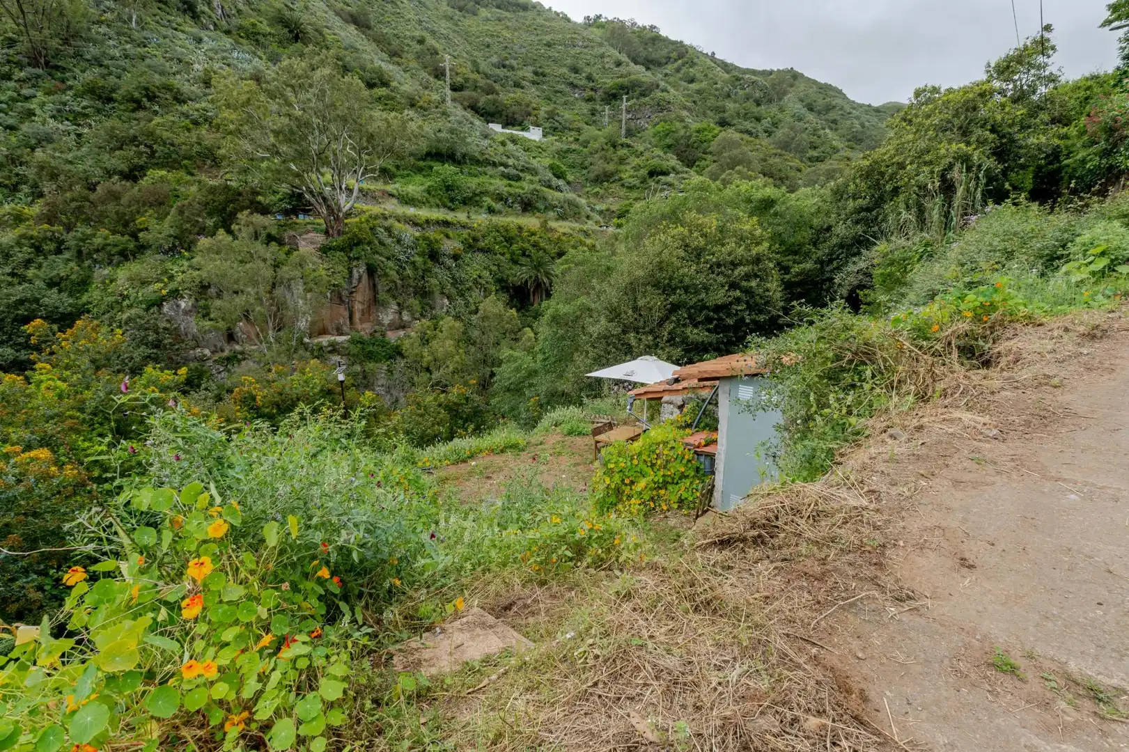 Exterior view of Land for sale in Teror