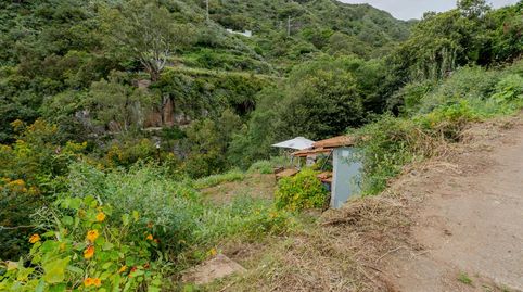 Foto 2 de Terreno en venta en Calle de las Rosadas, Teror pueblo, Teror