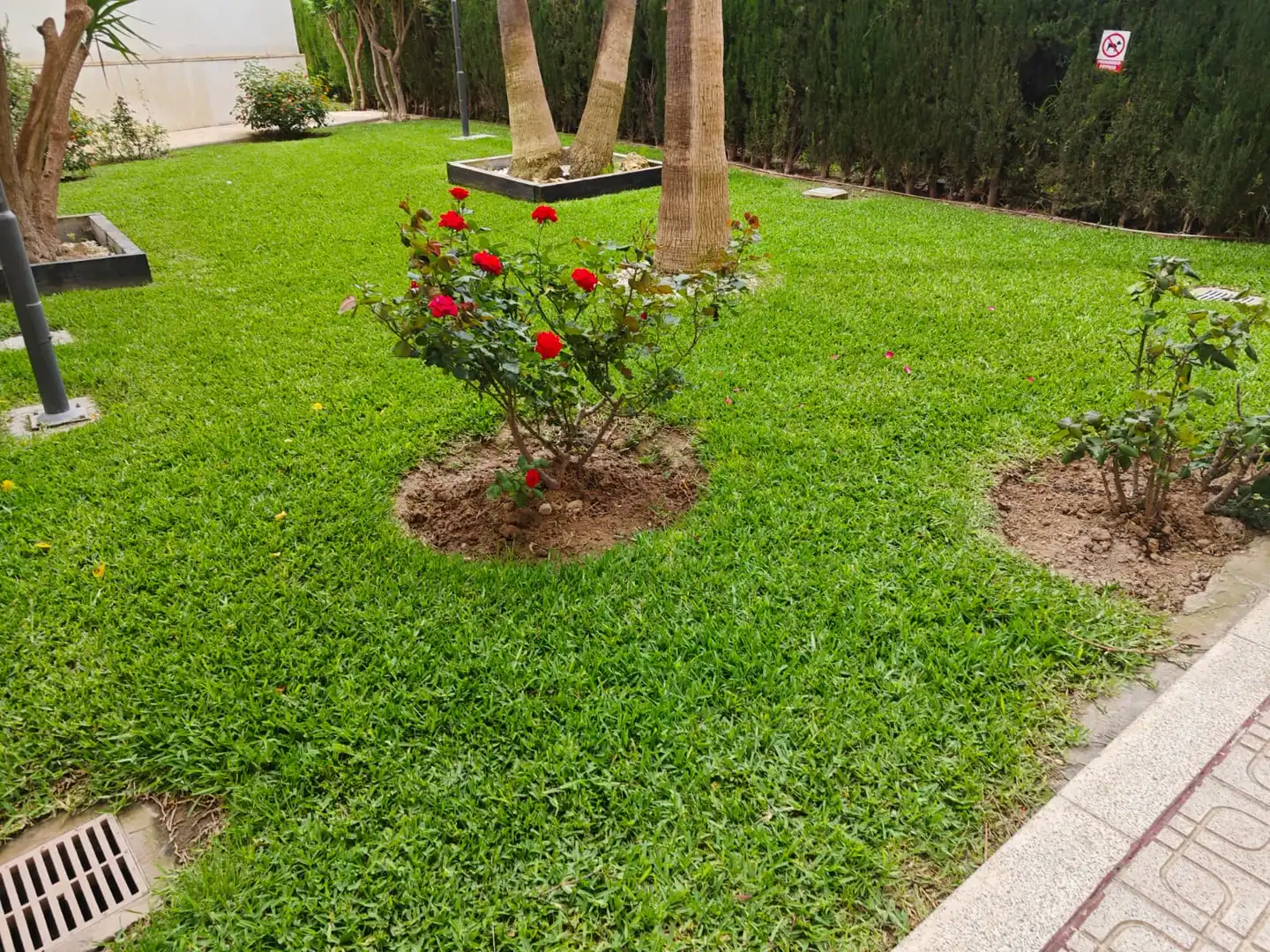 Jardí de Dúplex en venda en Alicante / Alacant amb Aire condicionat, Terrassa i Traster