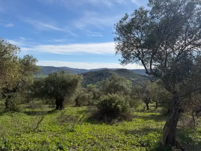 Land for sale in Ubrique