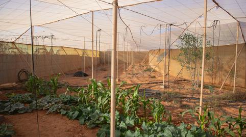 Photo 5 of House or chalet for sale in Calle Polígono 2 Paraje 182 Tablero la Pileta, 116, Päjara pueblo, Las Palmas