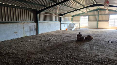 Photo 3 of Premises for sale in Dehesilla de Calamón - Campomanes, Badajoz