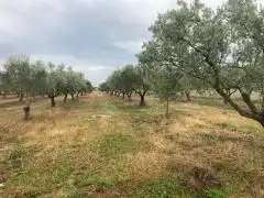 Terrenos y solares en venta en Pau, imagen 3