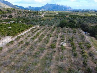 Terrain résidentiel à vendre à Orba