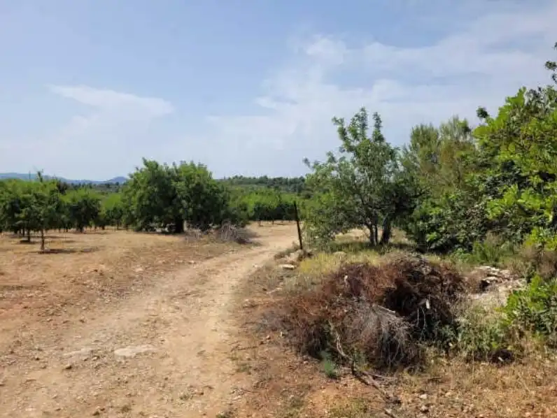 Rural land for sale in Partida de Viñamalata, imagen 10