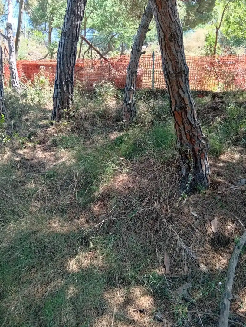 Terreno en venta en Calella